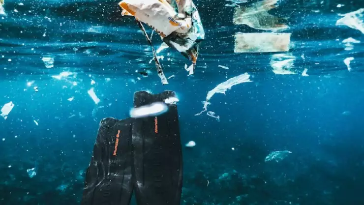 ¡Aguas! Estas son las playas más contaminadas de México no aptas para turistas y locales.jpg