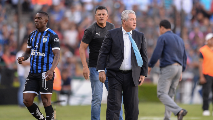 gallos