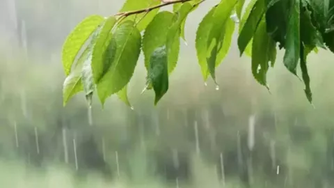 CONAGUA alerta por lluvias fuertes en Puebla hoy: Zonas en riesgo