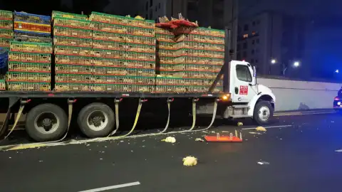 CAMIÓN CON POLLOS1.jpeg