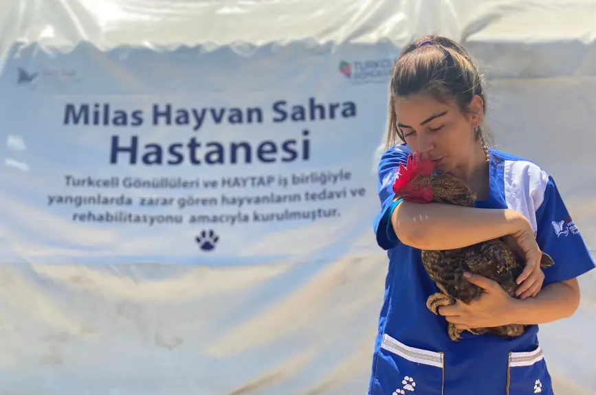 HAYTAP recoge a animales heridos por los incendios en Turquía