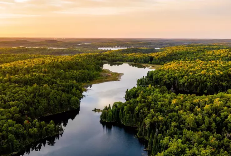 Día Mundial del medio ambiente