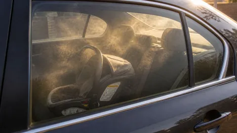 Portabebé dentro del carro.jpg