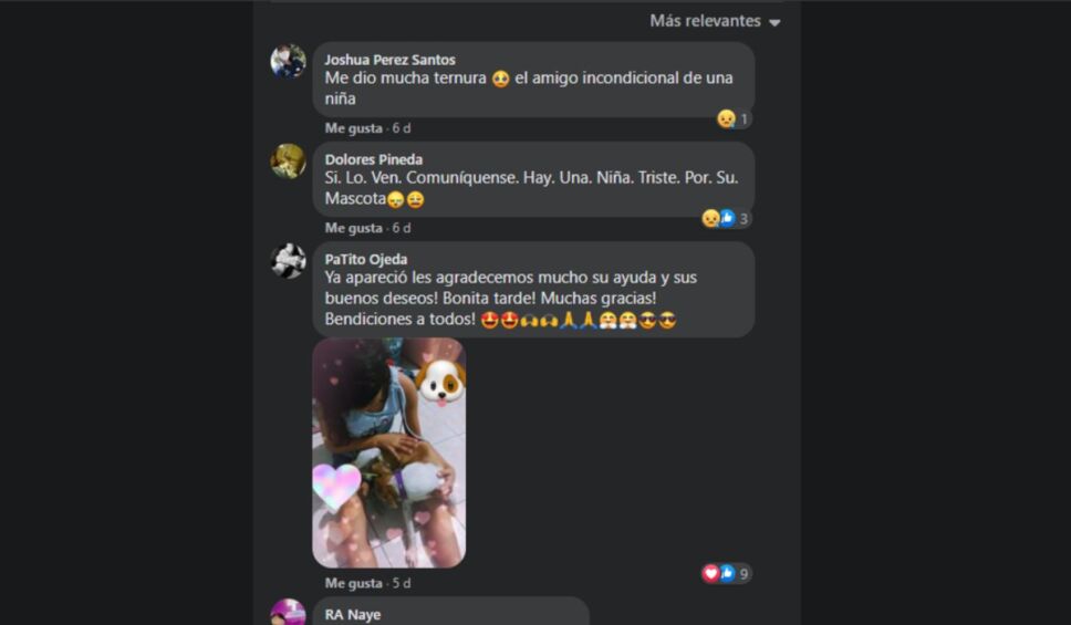 comentarios perrito perdido dibujo.jpg