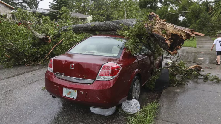 árbol aplastó auto en la colonia burócratas en querétaro.jpg