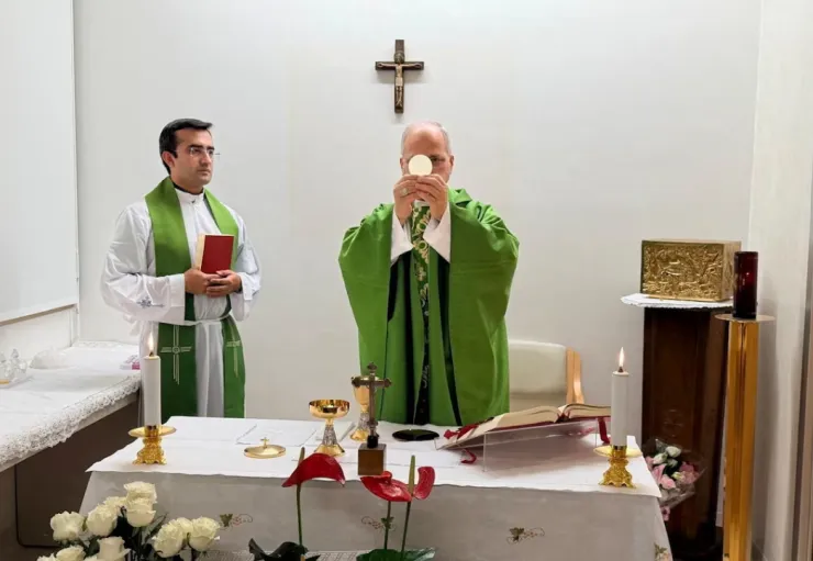 Papa León XIV