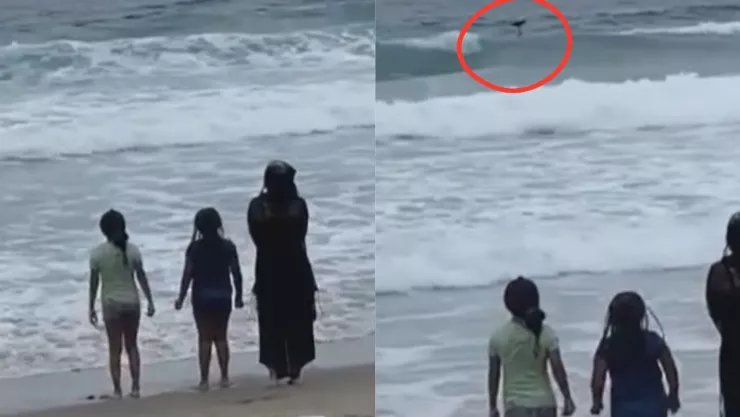 Captan a supuesta Sirena en playas de México