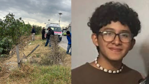 jeshua cisneros lechuga búsqueda