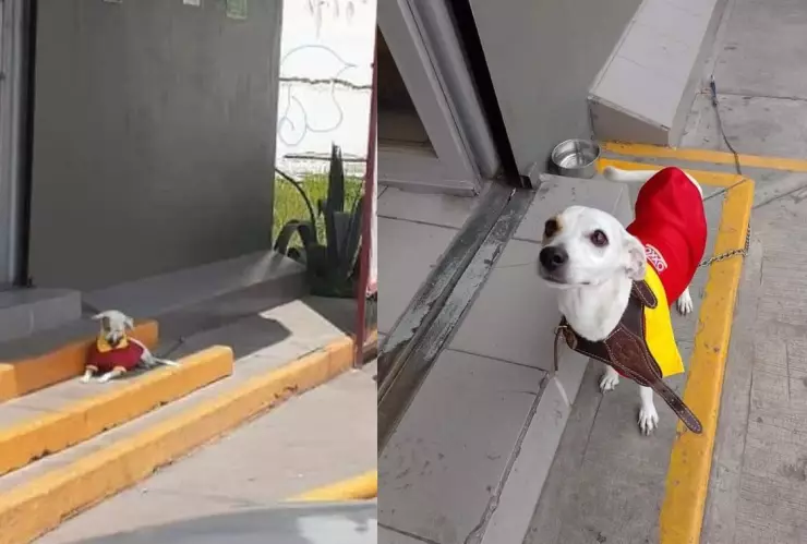 Guardia de seguridad del oxxo.