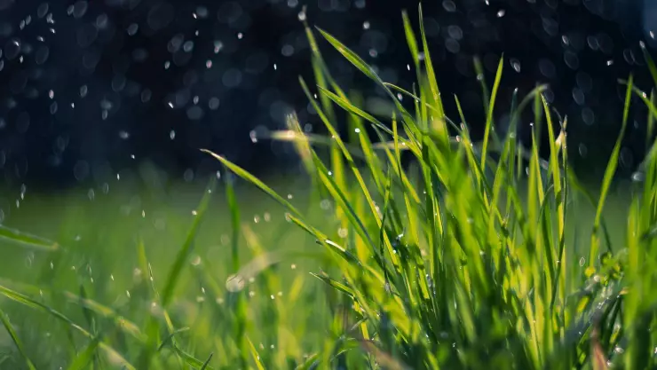 Clima en Morelos hoy