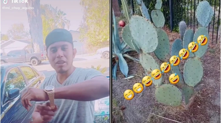 extranjero-mexicanos-nopales
