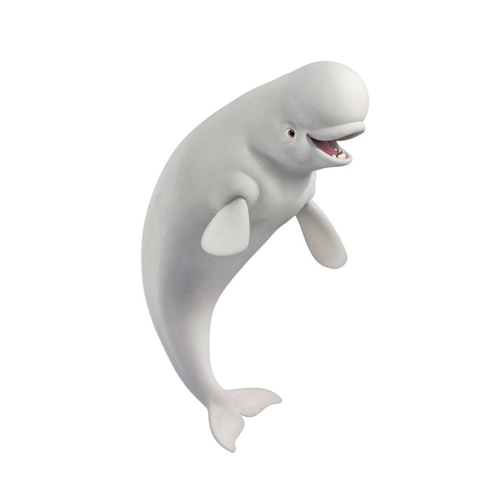 Bailey, ballena beluga, Buscando a Dory