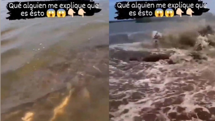 Extraña criatura ataca a hombre a bordo de kayak en el río Amazonas