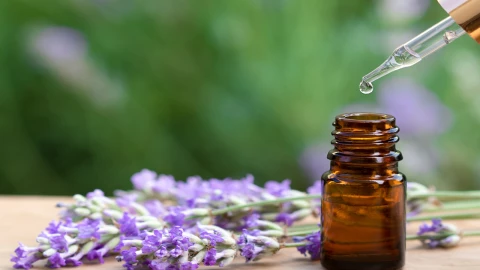 El mejor remedio para calmar la migraña y la ansiedad