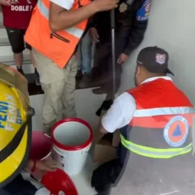 Encuentran serpiente dentro de un edificio de la colonia Doctores, CDMX