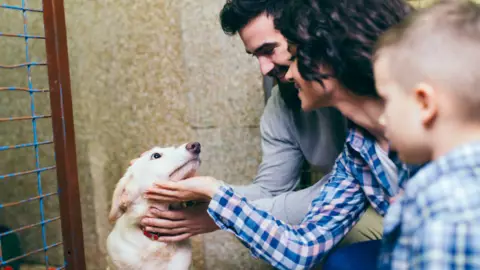 campaña adopción responsable