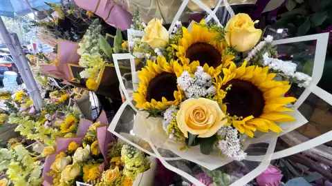 WhatsApp Image 2025-03-21 at 12.08.50 PM.jpeg