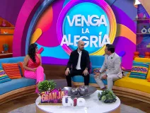 venga la alegria dia de nunca rendirse