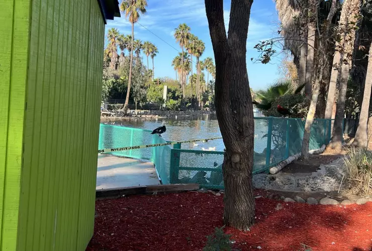 Parque Morelos Tijuana hoy