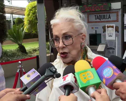 Laura Zapata se lanza contra la serie de Timbiriche