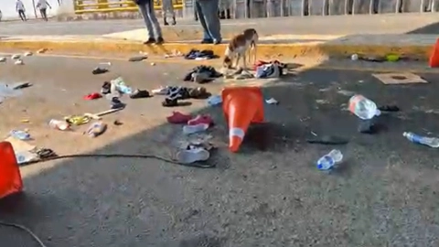 migrantes viva mexico.jp