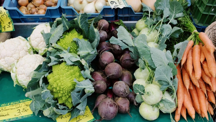 Rotación de cultivos qué es y cómo se hace.jpg