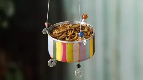 5 ideas prácticas para reciclar las latas de atún y volverlas algo útil en tu casa; te encantará