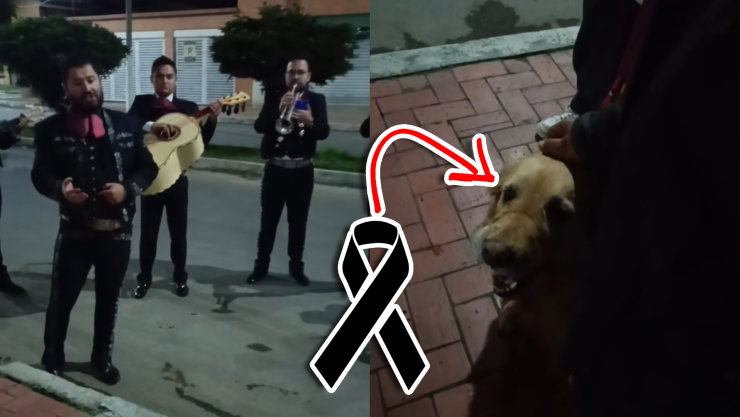 VIDEO_ ‘Cómo quisiera que no te fueras’_ Despiden a su PERRITA MORIBUNDA con mariachi y conmueve a TikTok.webp