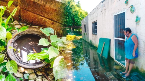 ¿Cómo evitar mosquitos y zancudos en casa?: Consejos prácticos