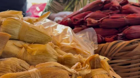 Tamales