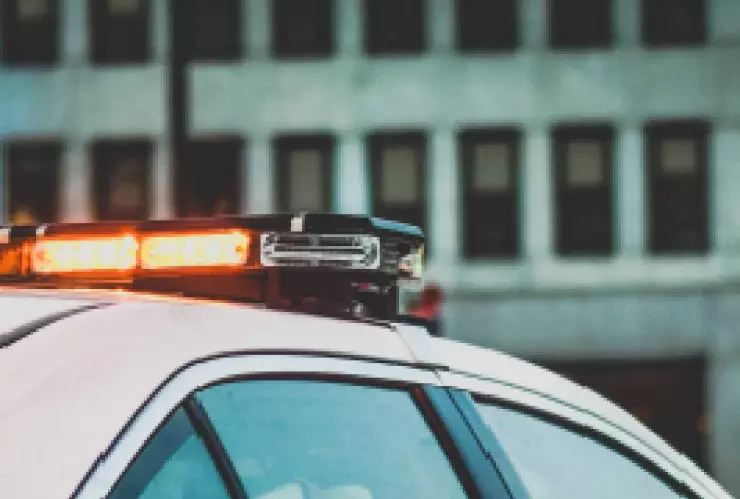 Sujeto roba lechón en Tizimín y lo detienen (FOTO)