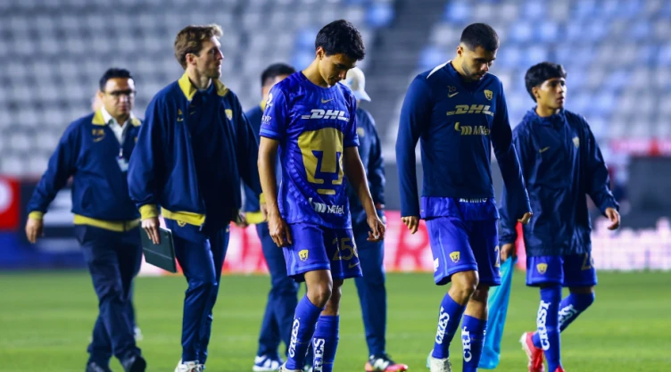 Pumas
