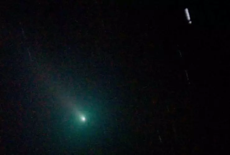 cómo ver cometa Leonard
