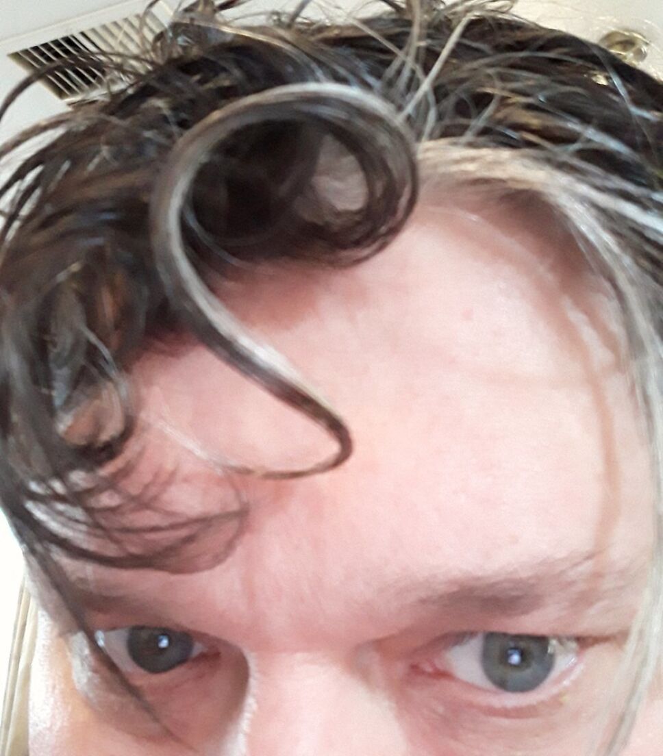 Canas, jóvenes, por qué 2.jpg