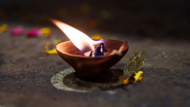 Así te puedes cargar de energía con el ritual de flores secas