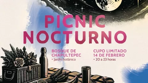 Picnic Nocturno 2025