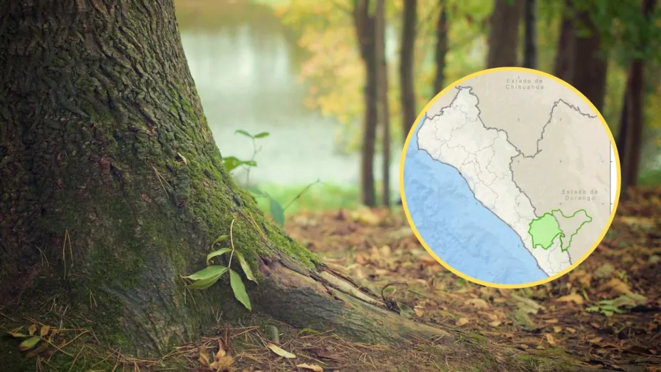 Nueva Área Natural Protegida en Sinaloa