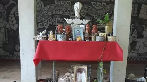 la historia de don vicente campesino extraterresteres