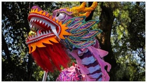 Qué hacer el Año Nuevo Chino 2025 en museos de la CDMX