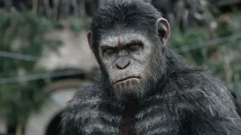 Habrá una nueva película de El Planeta de los Simios