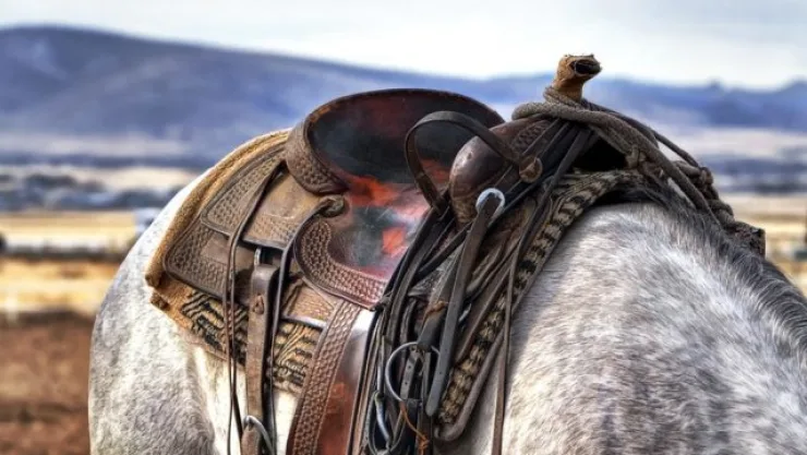 Golpean a caballito.jpg