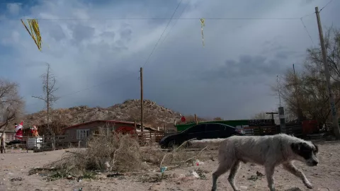 ¿Cuáles son las peores ciudades de México para vivir? La IA responde