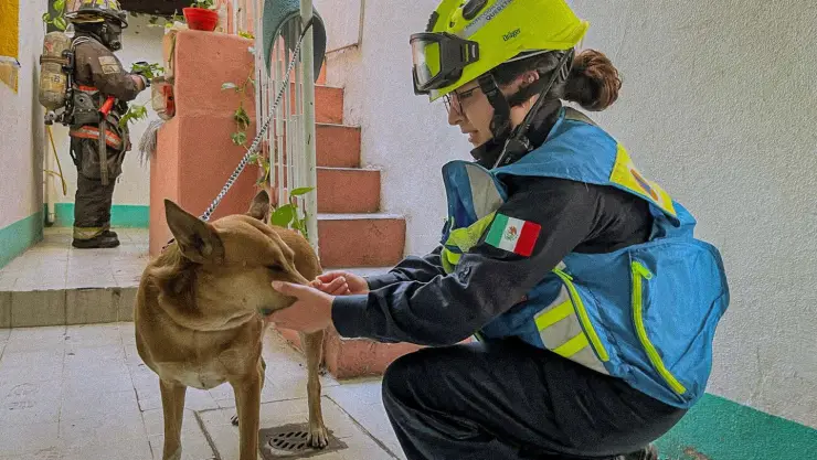 Controlan incendio en una casa del centro histórico y rescatan a un perro