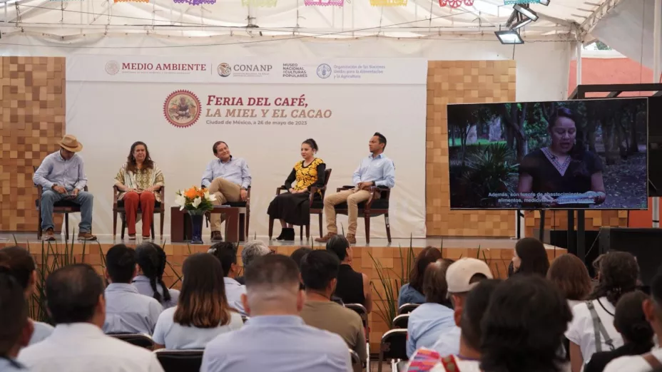 Diseño sin título (1).jpg