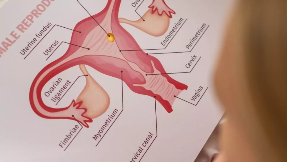 dolor relaciones sexuales causas 1.jpg