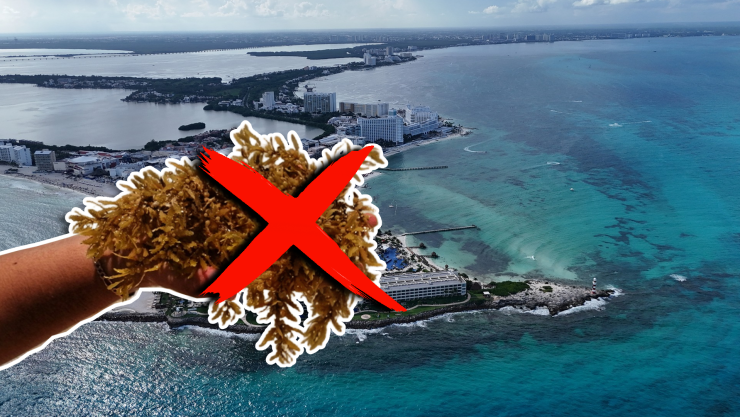 Estas son las playas sin sargazo en Quintana Roo HOY 28 de octubre de 2025_ Cancún, Playa del Carmen, Tulum y más.jpg