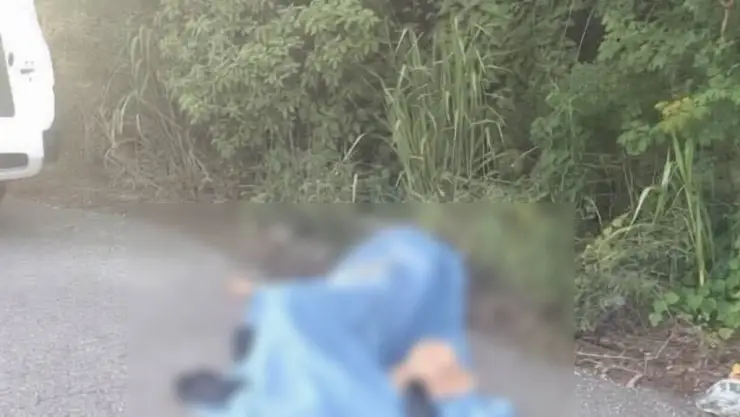 ¡Trágico! Buscan a conductor de AUTO que atropelló a CORREDORA HOY en Mérida; ¿Qué se sabe?
