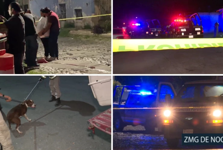 ZMG DE NOCHE Pitbull ataca a joven en Guadalajara_.jpg