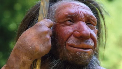 Denisovanos, parientes perdidos, humanidad A.jpg