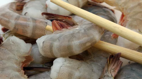 Camarón, microscopio, TikTok.jpg